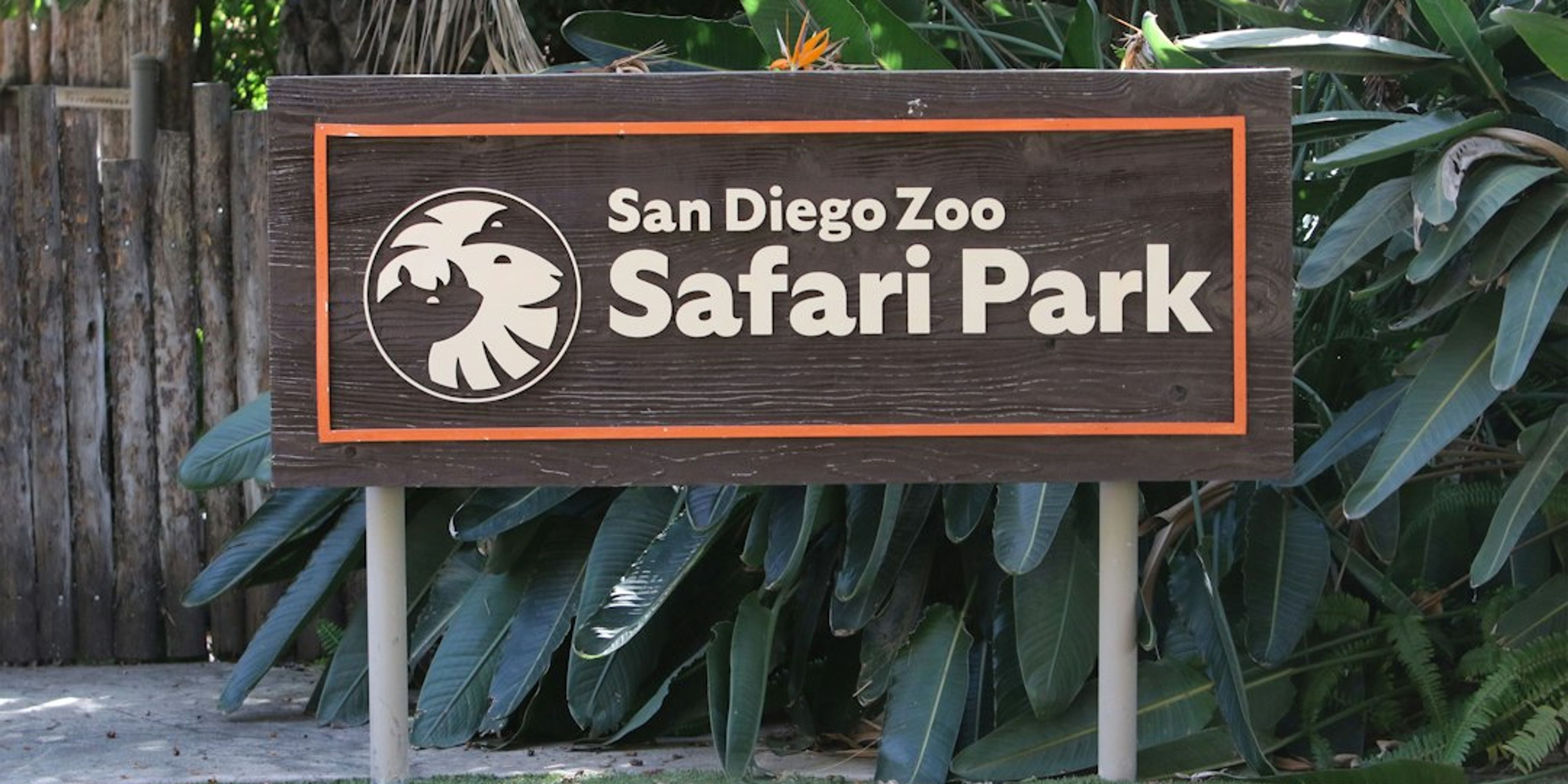 Hotels near San Diego Zoo Safari Park