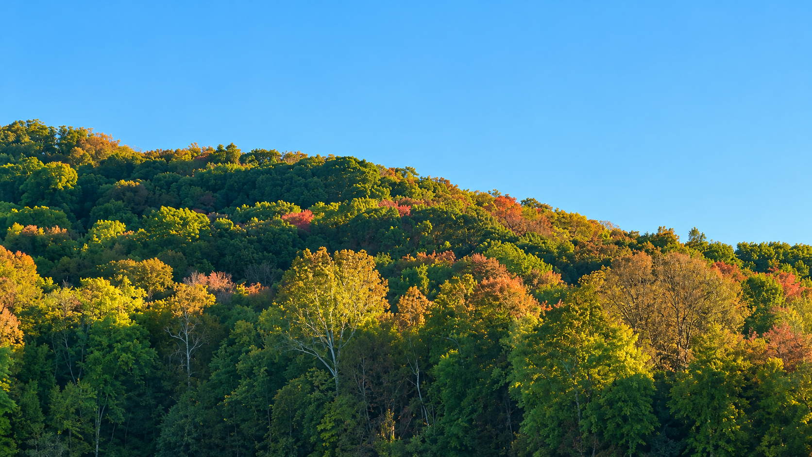 Radnor Lake State Park - Peak Fall Foliage Inside the City