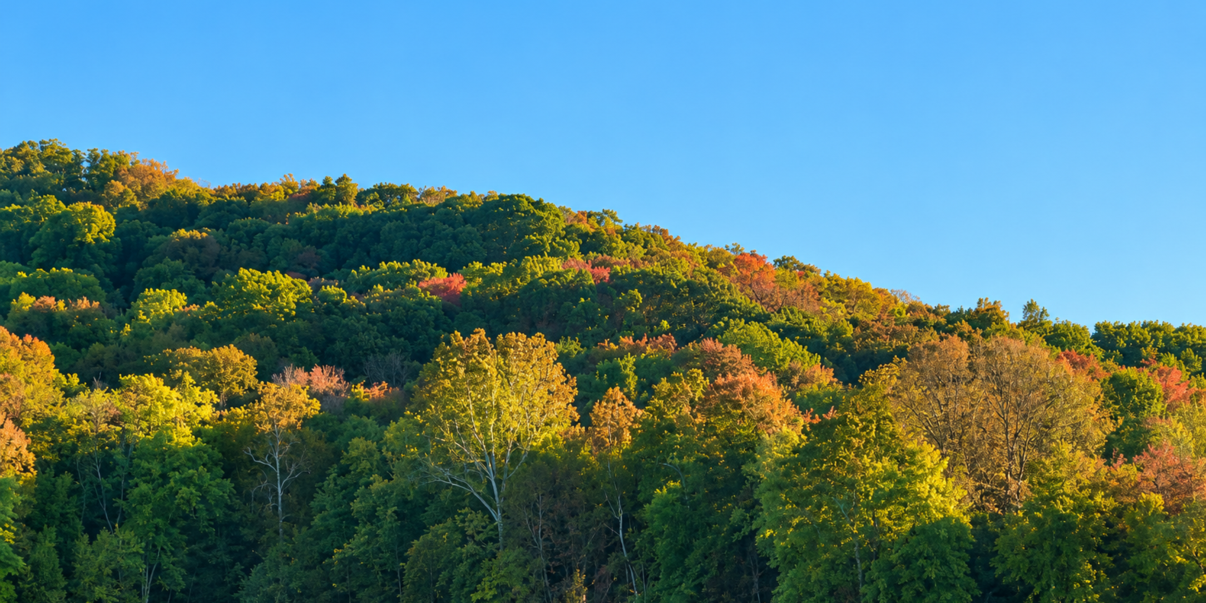 Hotels near Radnor Lake State Park