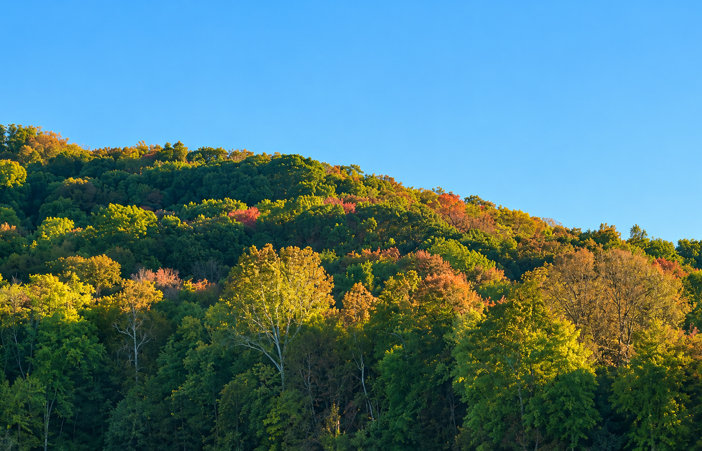 Radnor Lake State Park - Peak Fall Foliage Inside the City