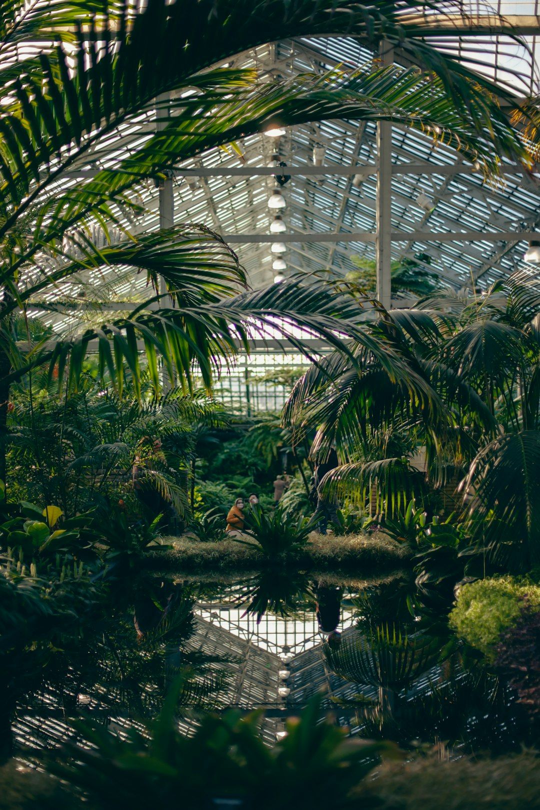 Garfield Park Conservatory - Free, Warm and Under Glass