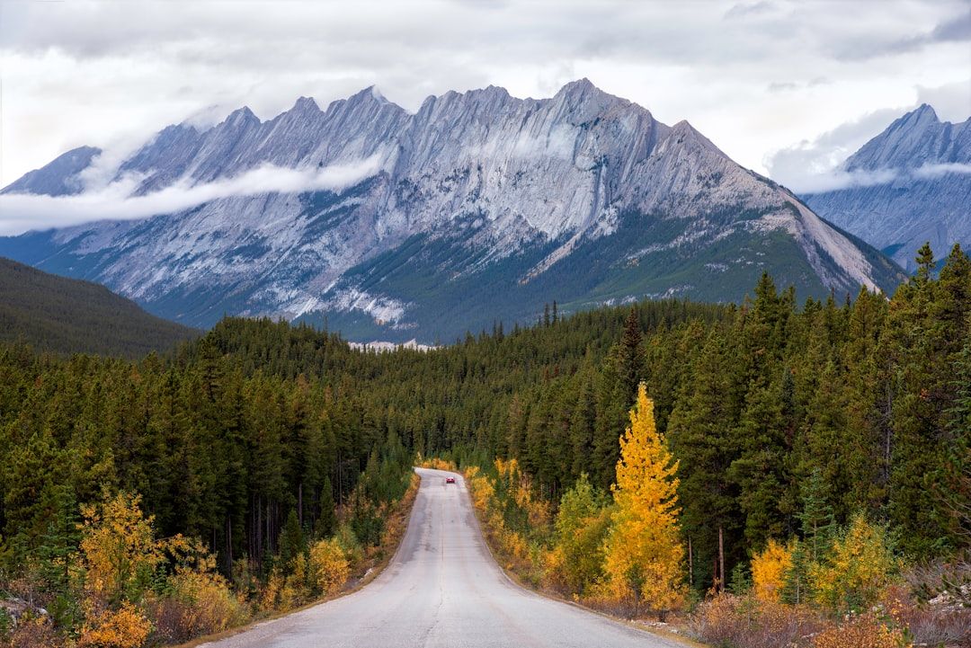 Jasper travel guides