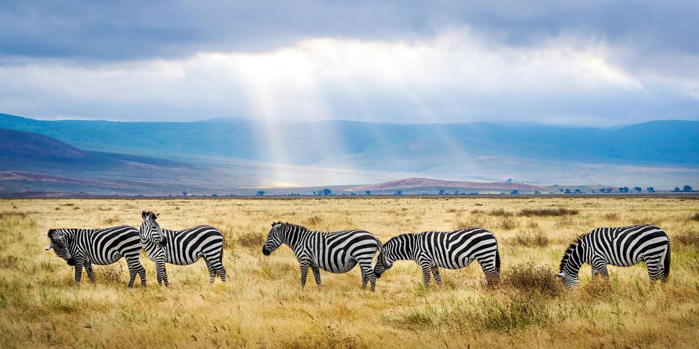 Tanzania Travel Guides