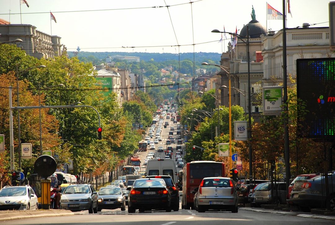 Day Trip to Novi Sad and Petrovaradin Fortress - The Athens of Serbia on the Danube