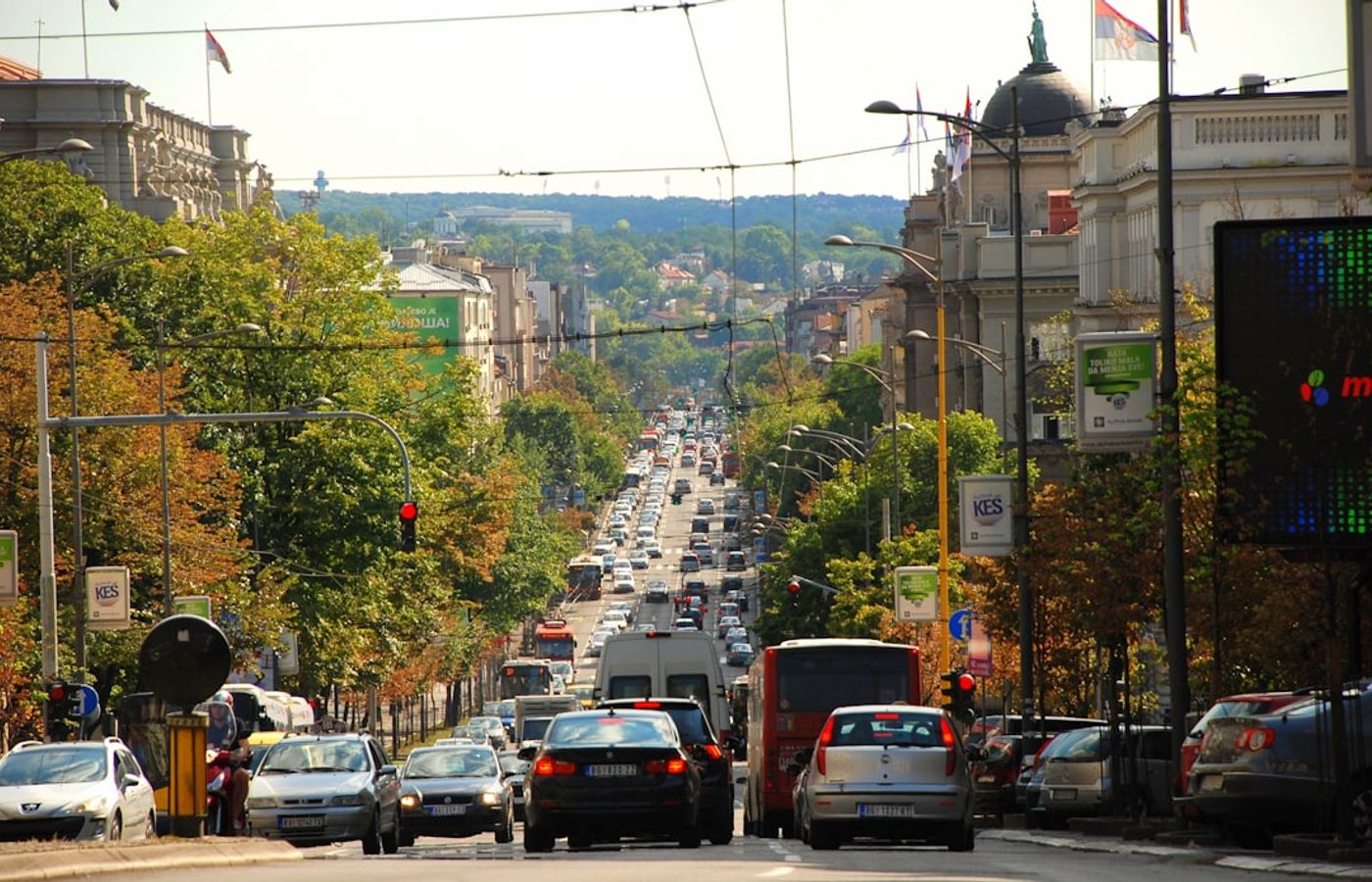 Day Trip to Novi Sad and Petrovaradin Fortress - The Athens of Serbia on the Danube