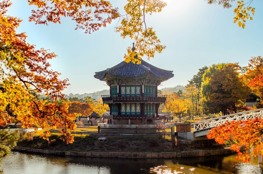 5 Best Places to See Autumn Leaves in Seoul