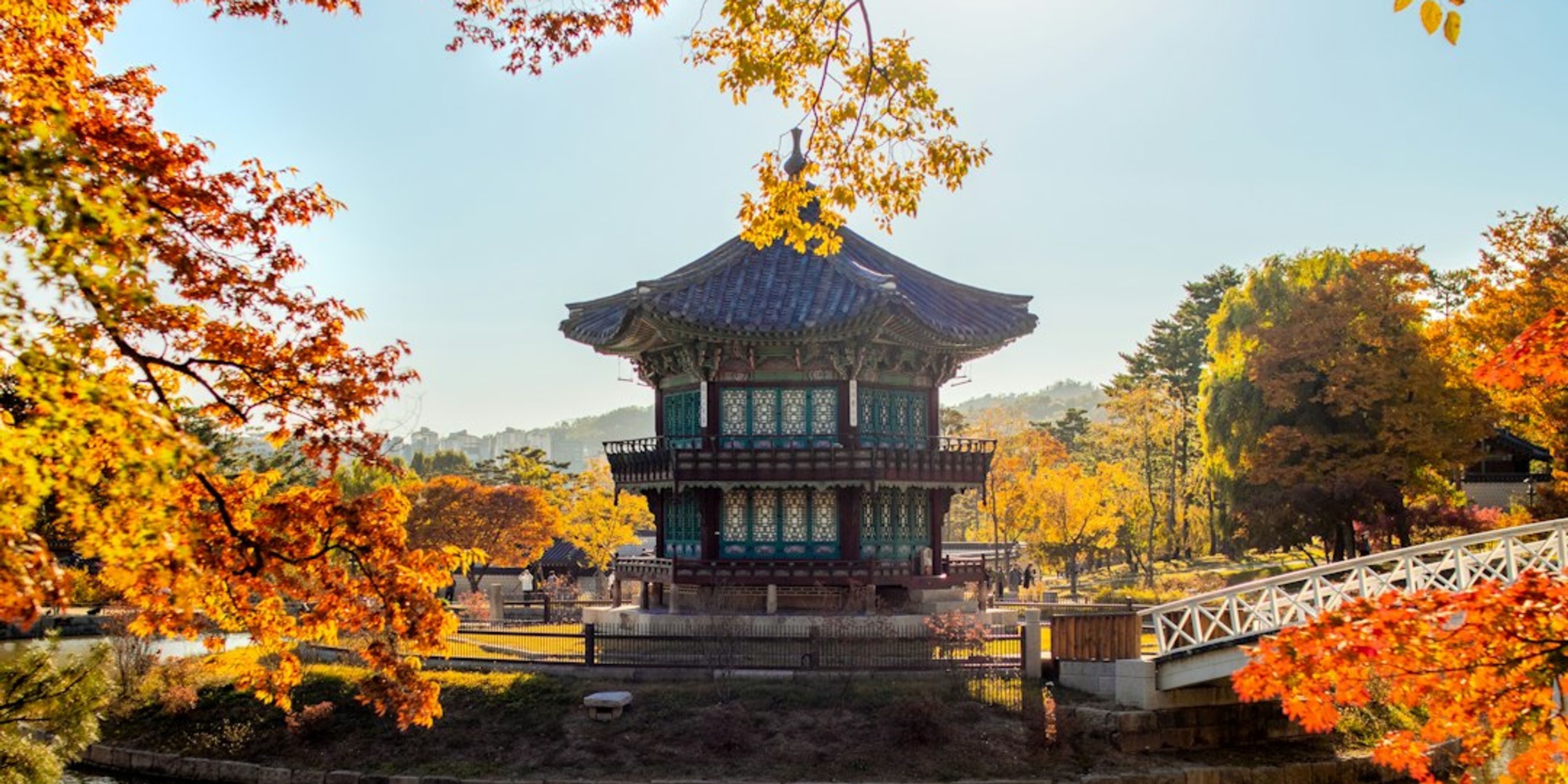 5 Best Places to See Autumn Leaves in Seoul