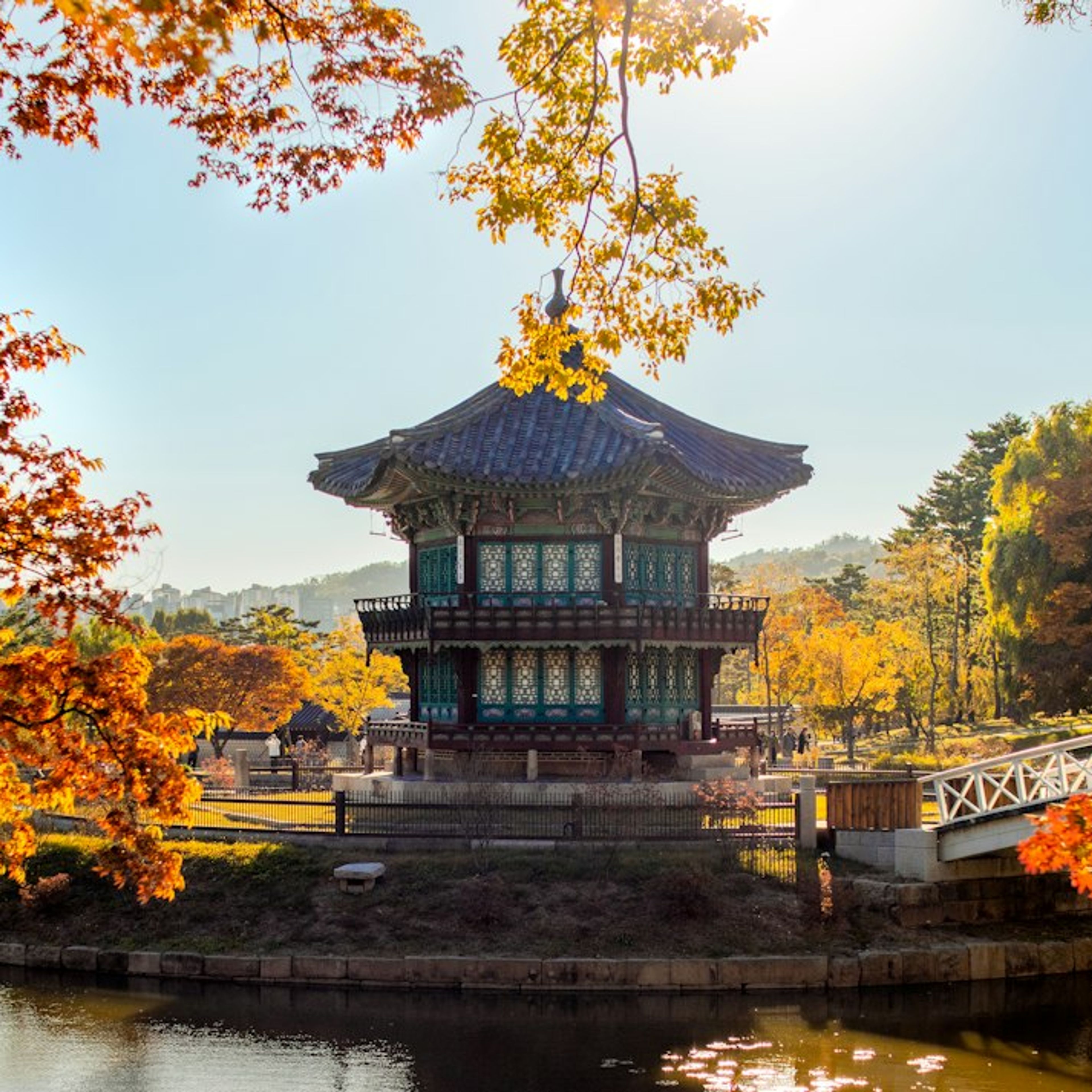 5 Best Places to See Autumn Leaves in Seoul
