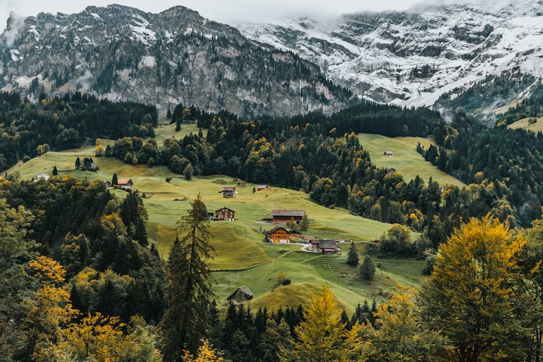 Hotels in Switzerland