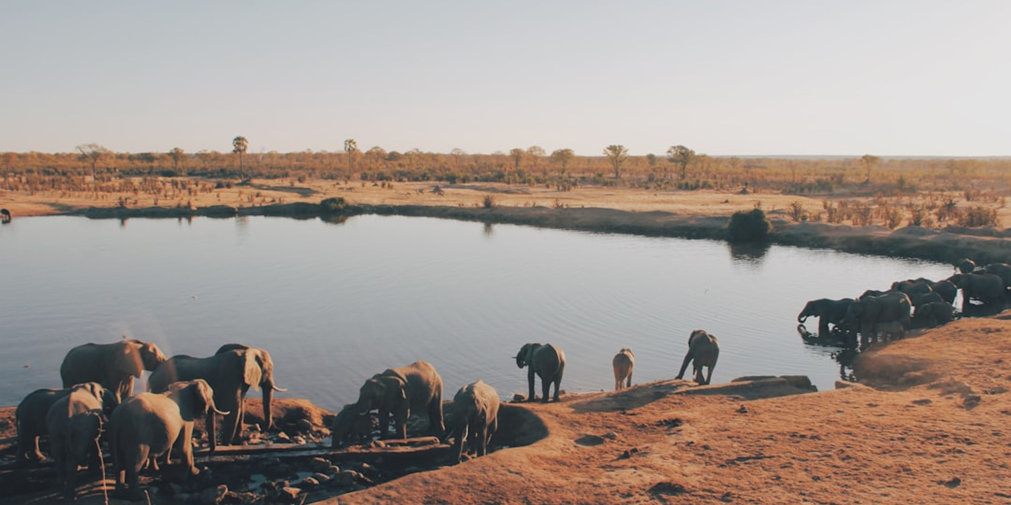 Hotels in Zimbabwe