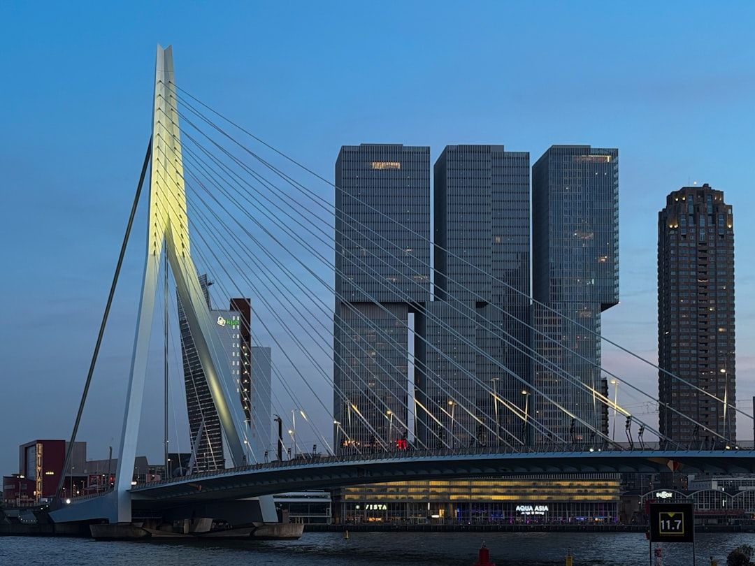 Erasmus Bridge (Erasmusbrug) - The Swan of Rotterdam