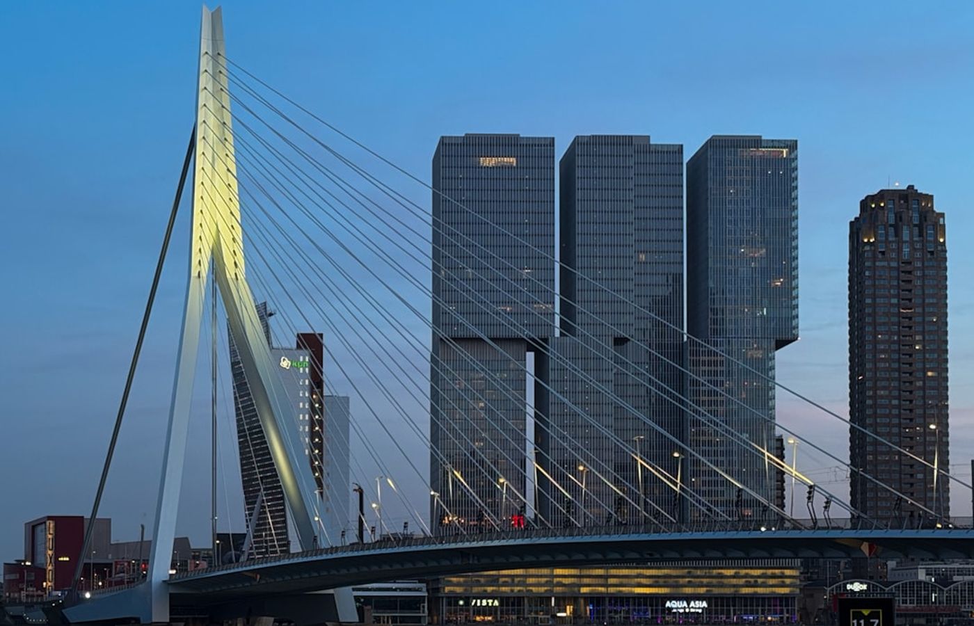 Erasmus Bridge (Erasmusbrug) - The Swan of Rotterdam