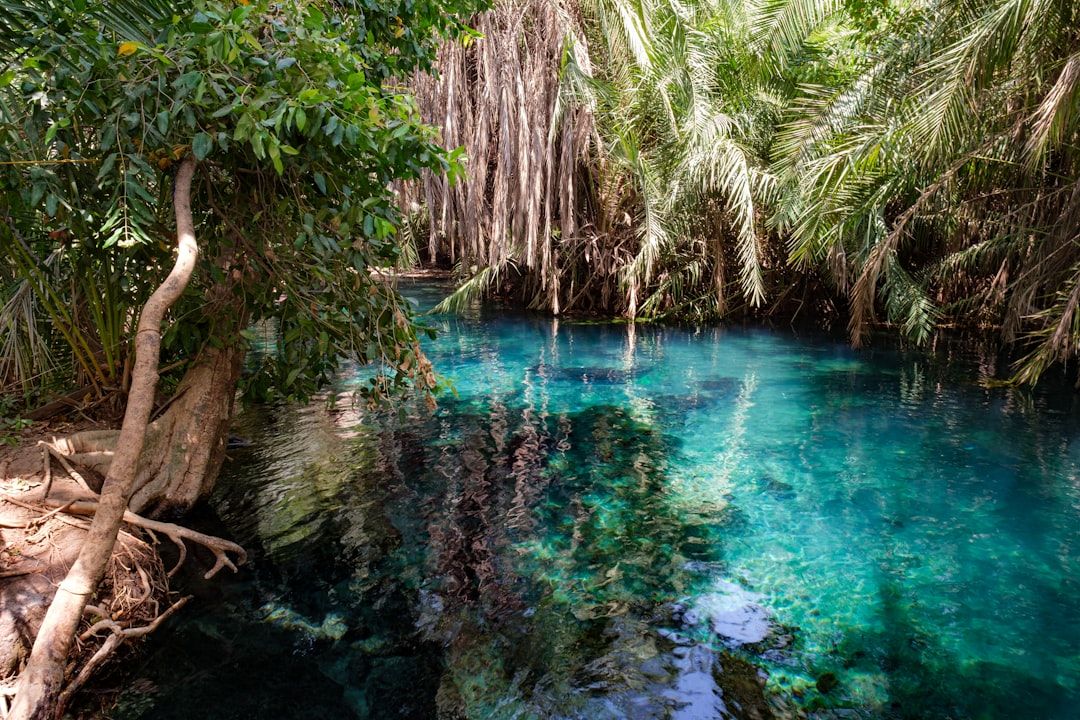 Cenotes of the Riviera Maya - Sacred Swimming Holes