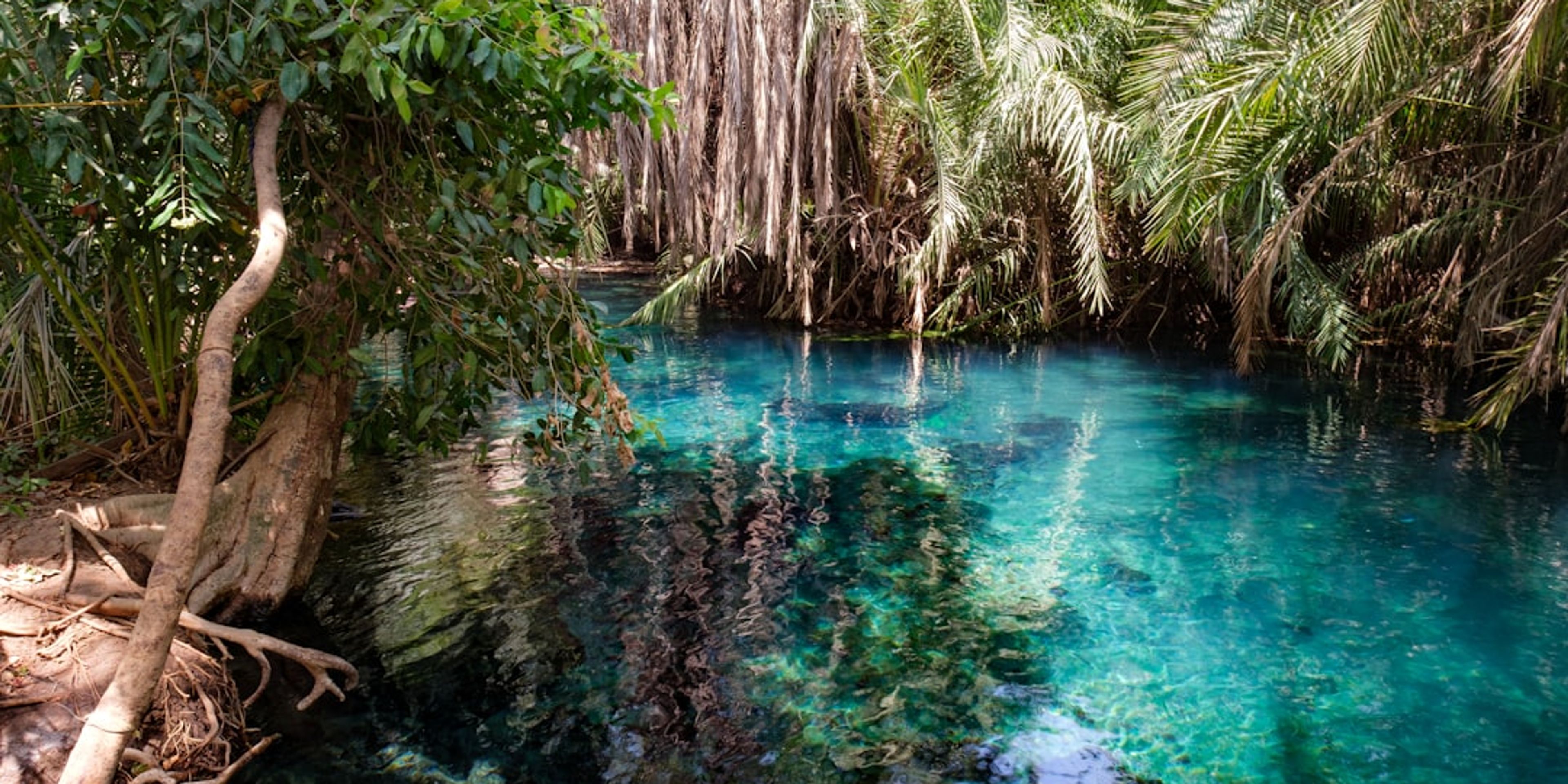 Hotels near Cenotes of the Riviera Maya