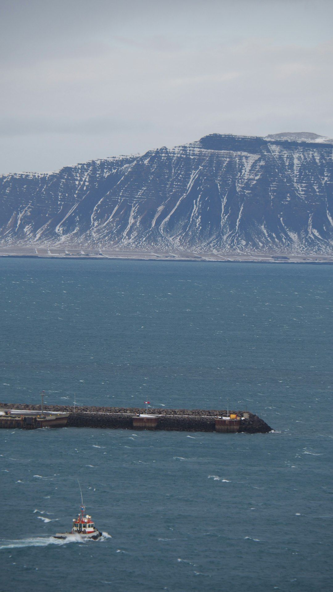 Old Harbour and Whale Watching - Reykjavik's Maritime Heart