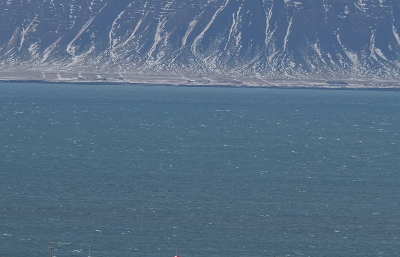 Old Harbour and Whale Watching - Reykjavik's Maritime Heart