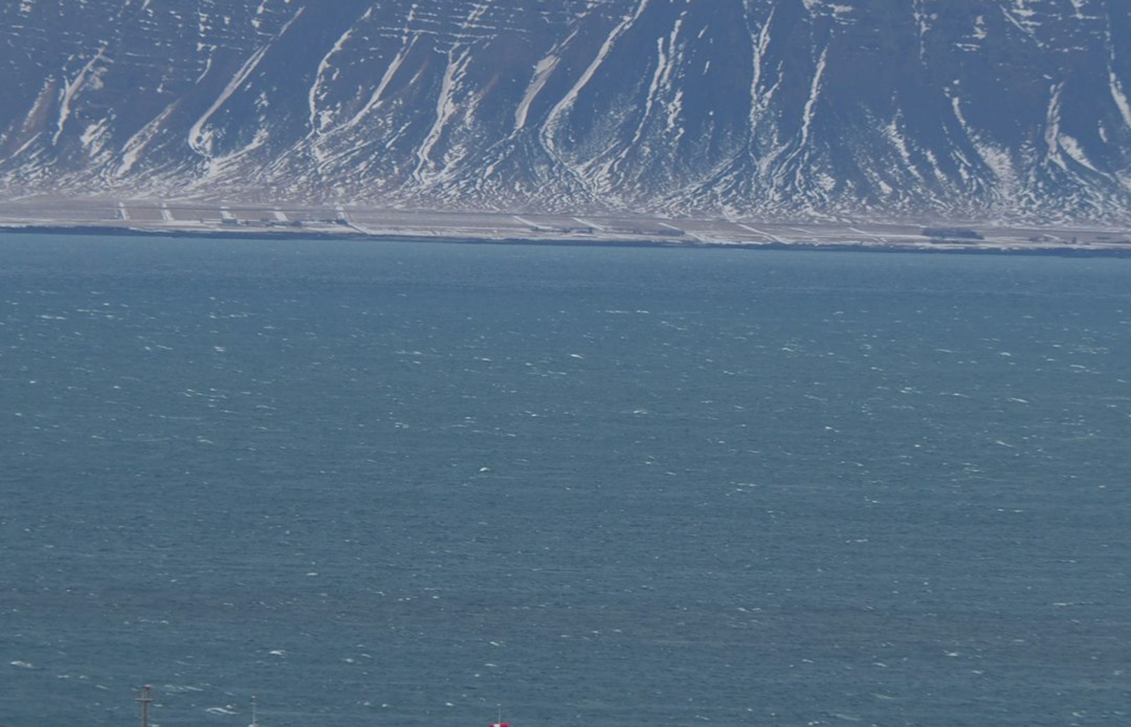 Old Harbour and Whale Watching - Reykjavik's Maritime Heart