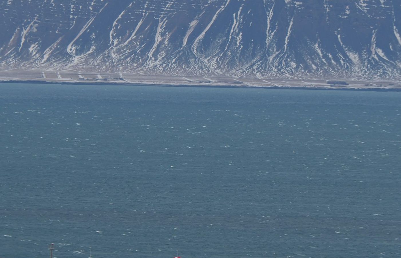 Old Harbour and Whale Watching - Reykjavik's Maritime Heart