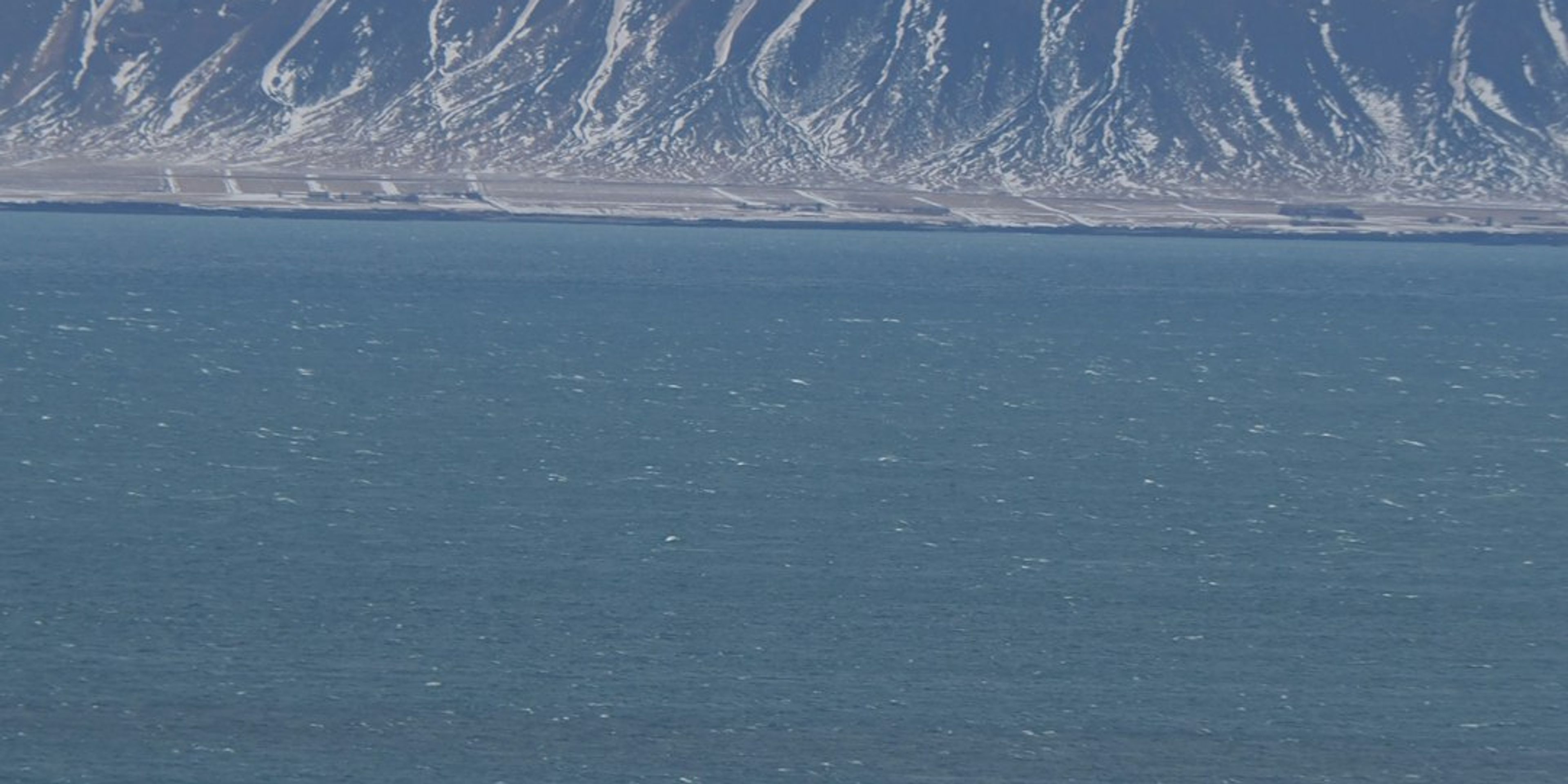Hotels near Old Harbour and Whale Watching