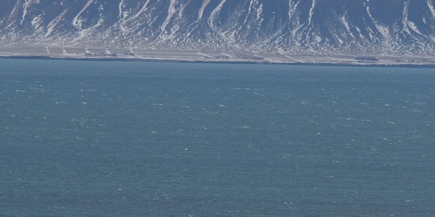 Hotels near Old Harbour and Whale Watching