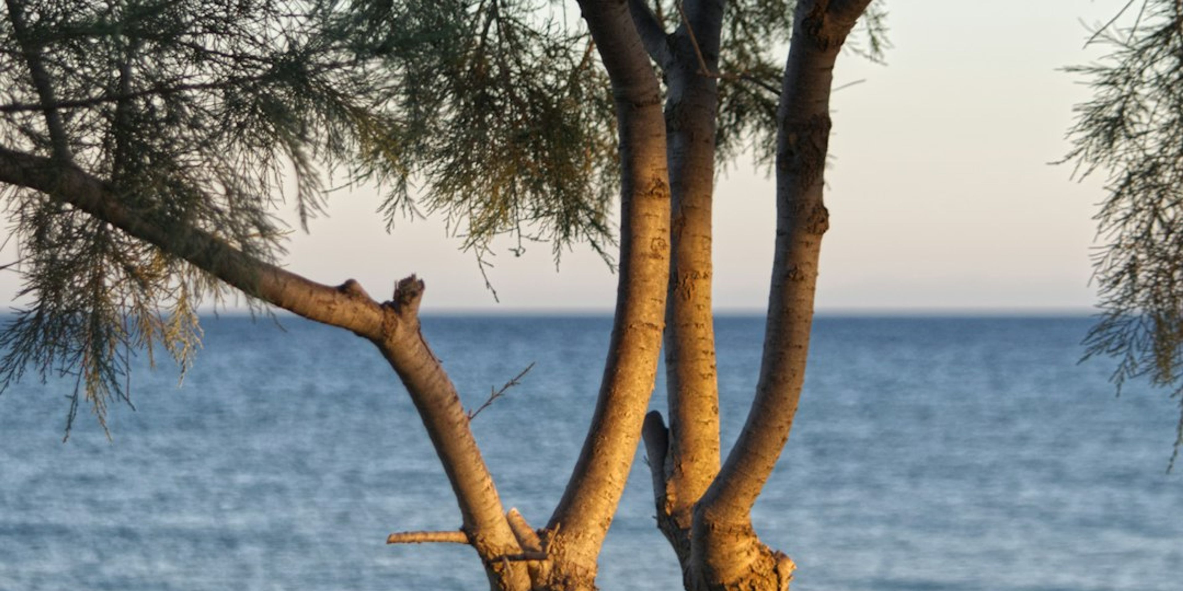 Hotels near Perissa Black Sand Beach