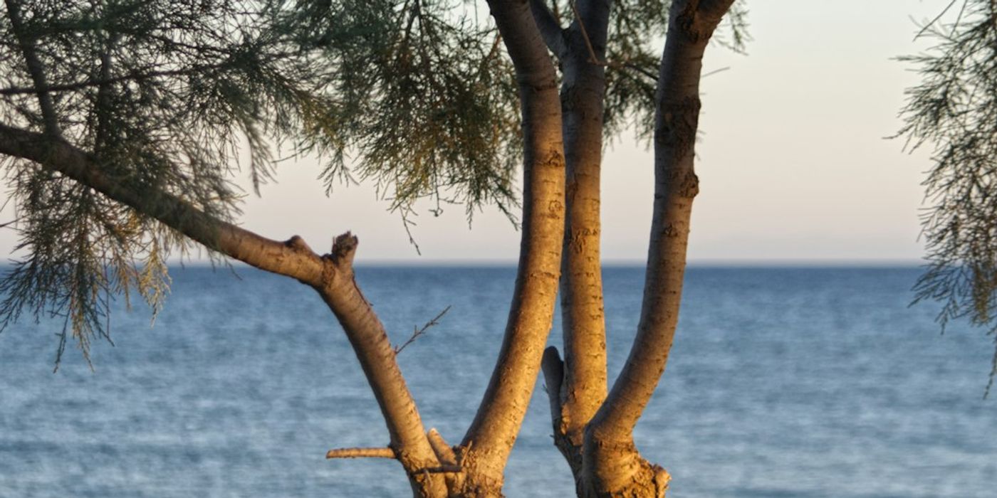 Hotels near Perissa Black Sand Beach