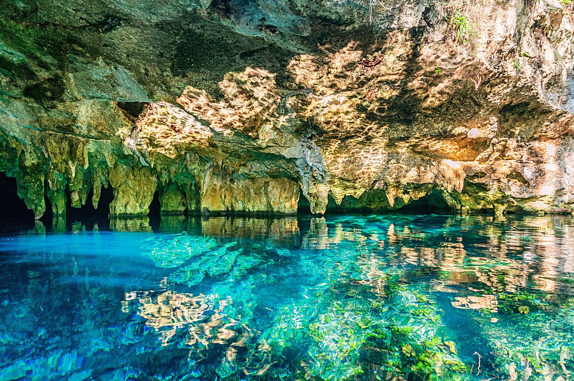 Gran Cenote - Swim and Snorkel with Turtles