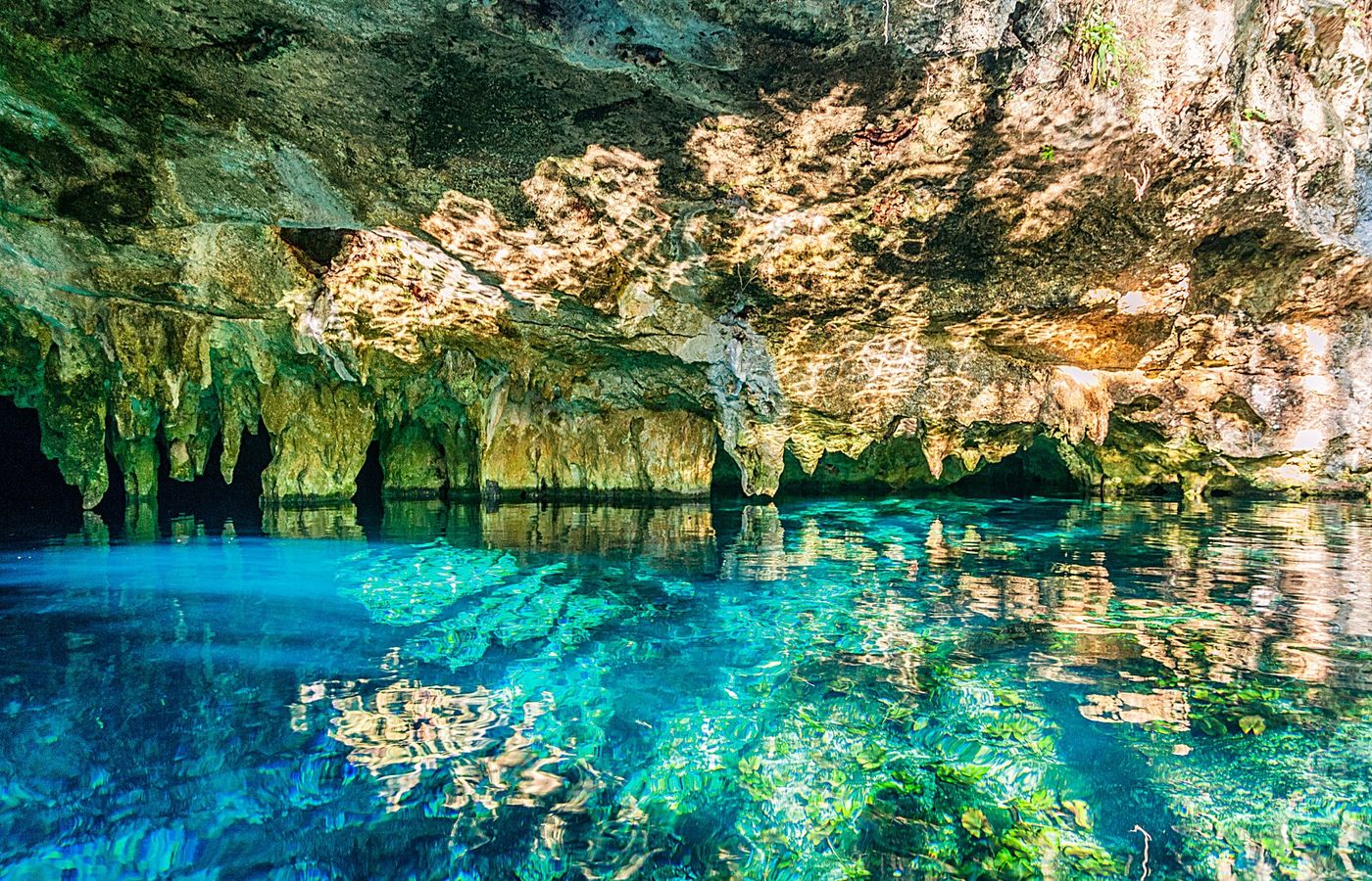 Gran Cenote - Swim and Snorkel with Turtles