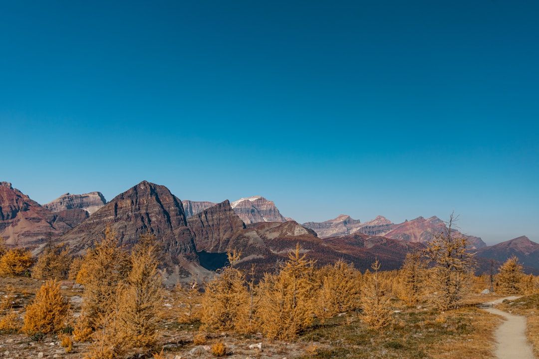 Healy Pass - The Quiet Larch Alternative to Larch Valley