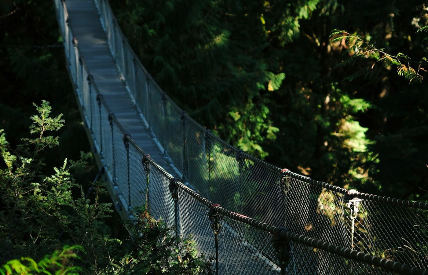 Capilano Suspension Bridge Park - Walk Above the Rainforest Canopy