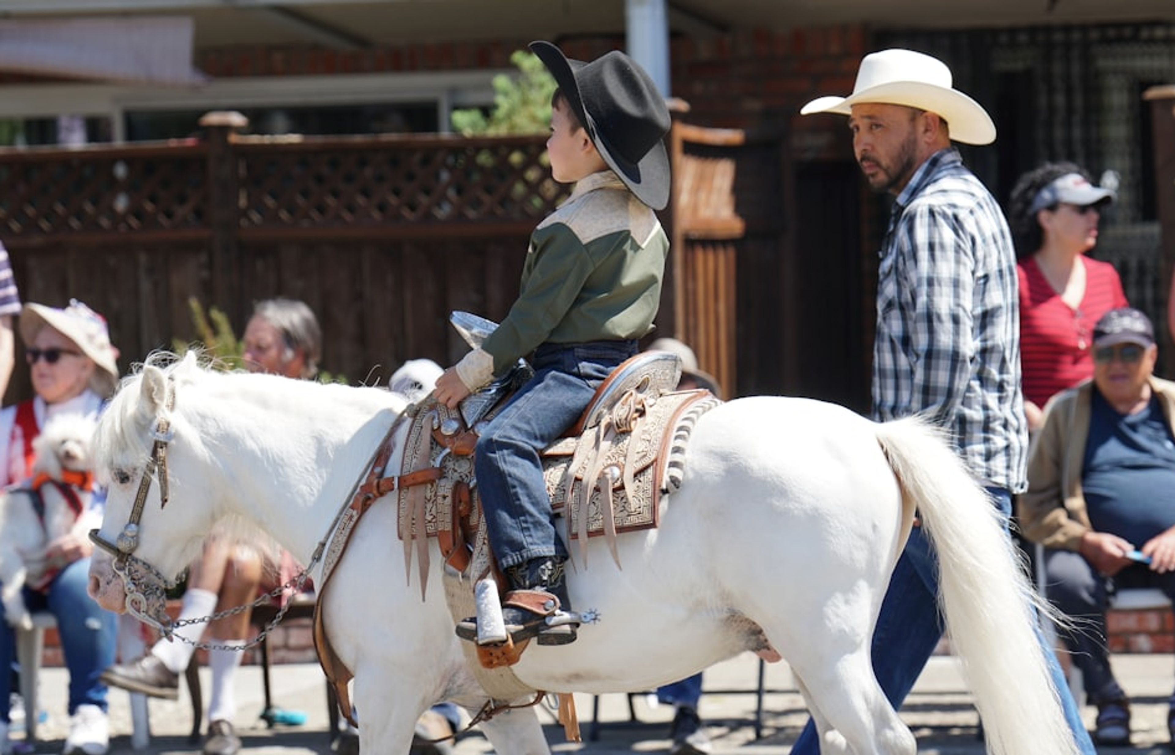 Can Mayans Hipodrom - Horse Riding and Pony Rides for Children