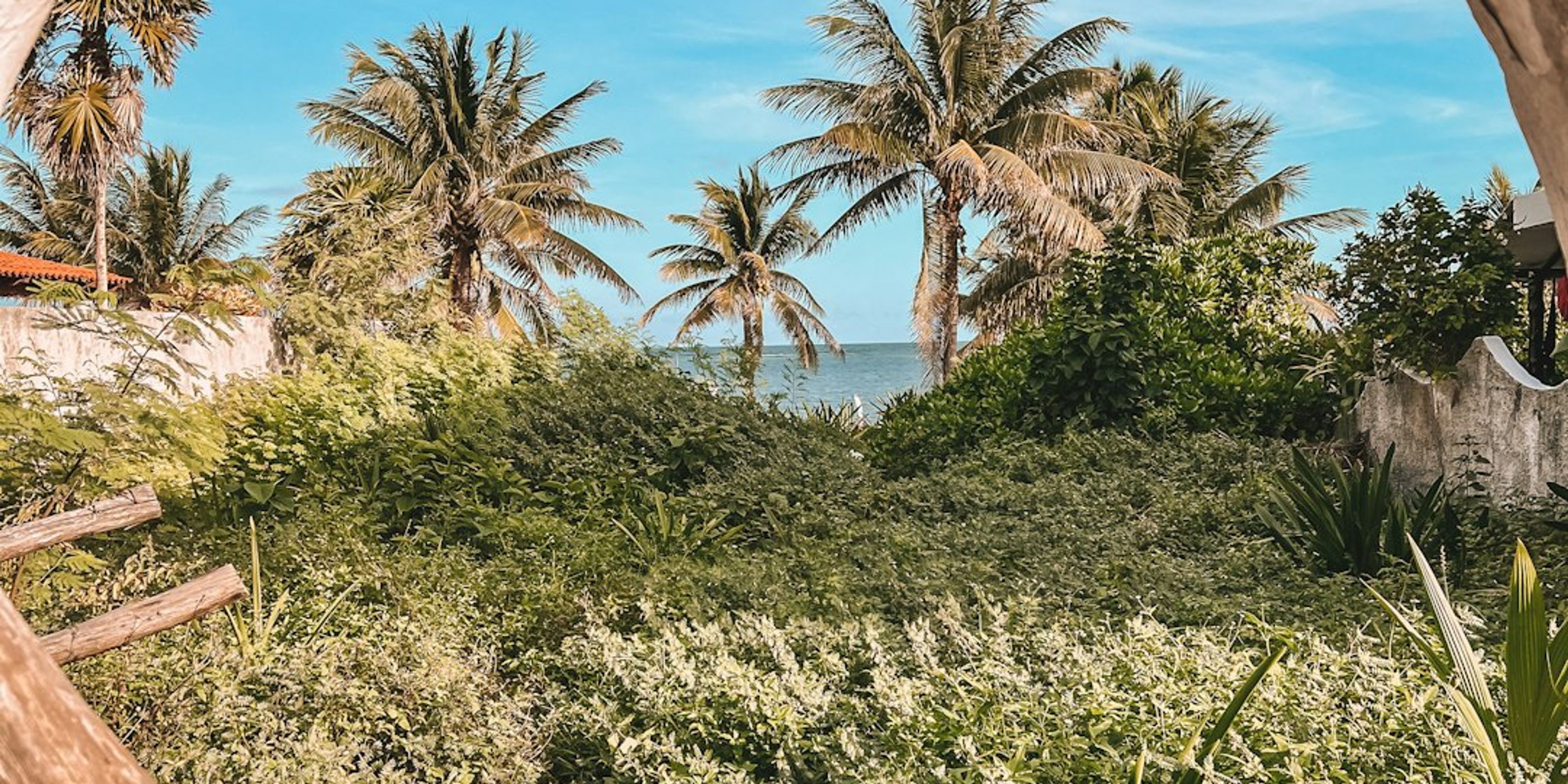 Hotels near Puerto Morelos