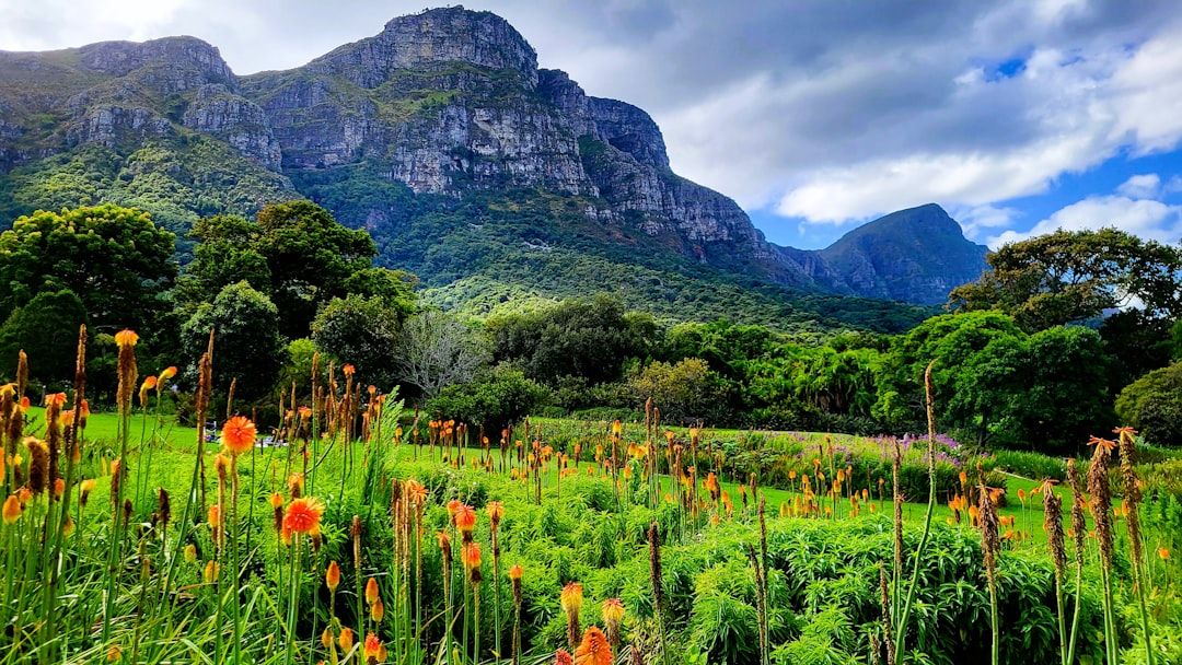 Kirstenbosch National Botanical Garden - The Indigenous Plant Showcase