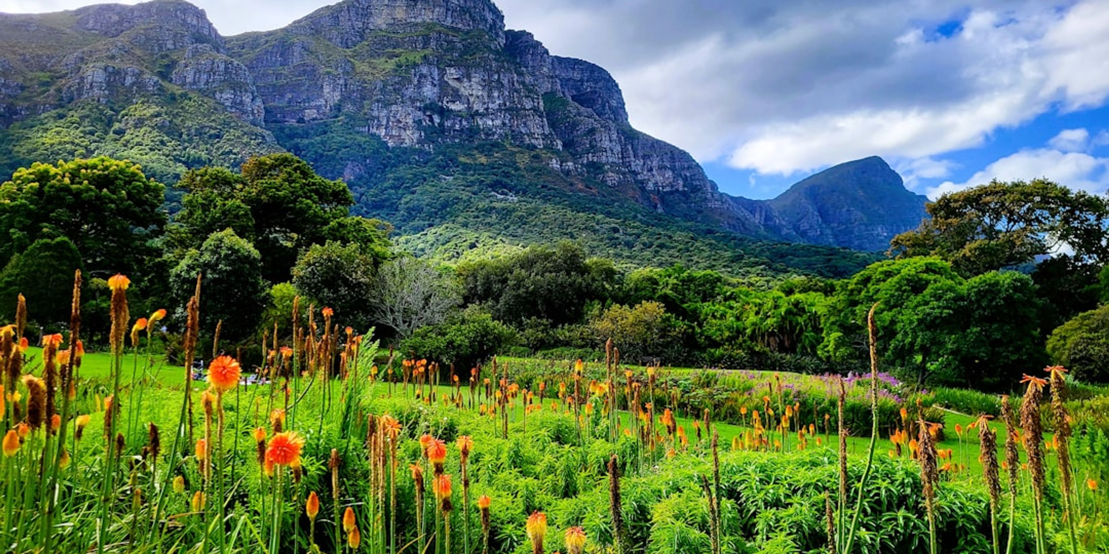 Hotels near Kirstenbosch National Botanical Garden