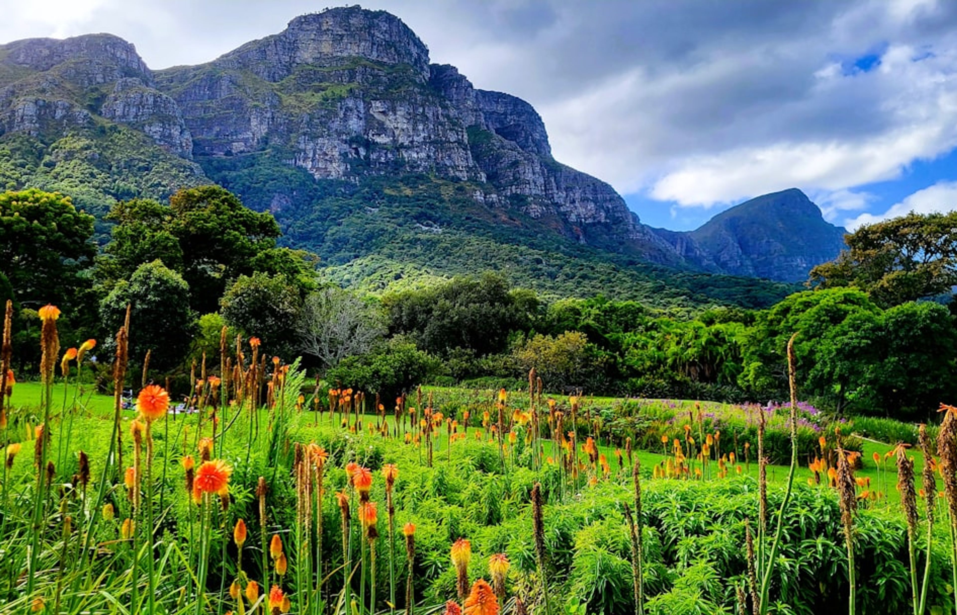 Kirstenbosch National Botanical Garden - The Indigenous Plant Showcase