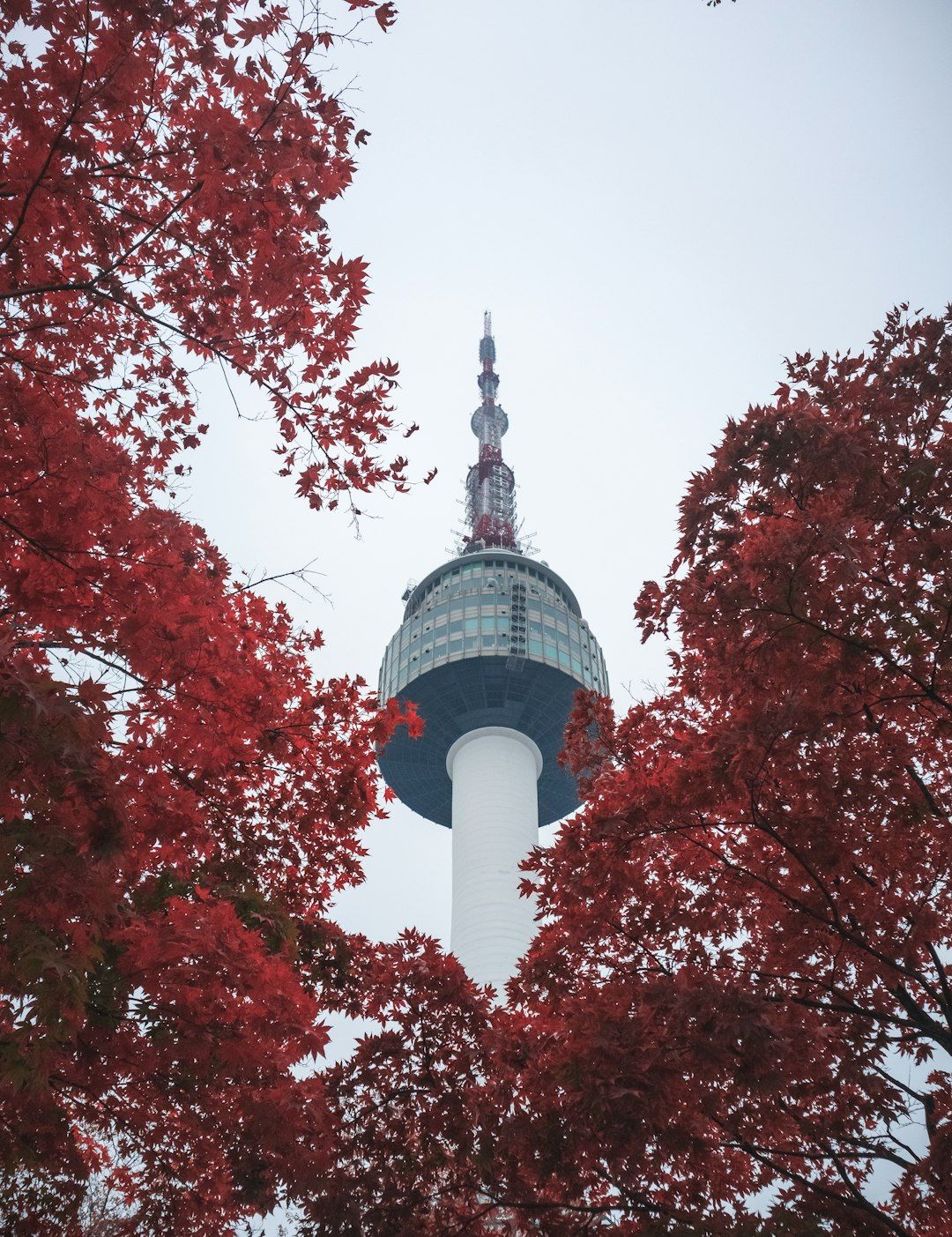 Namsan Park - Autumn Trails Beneath N Seoul Tower