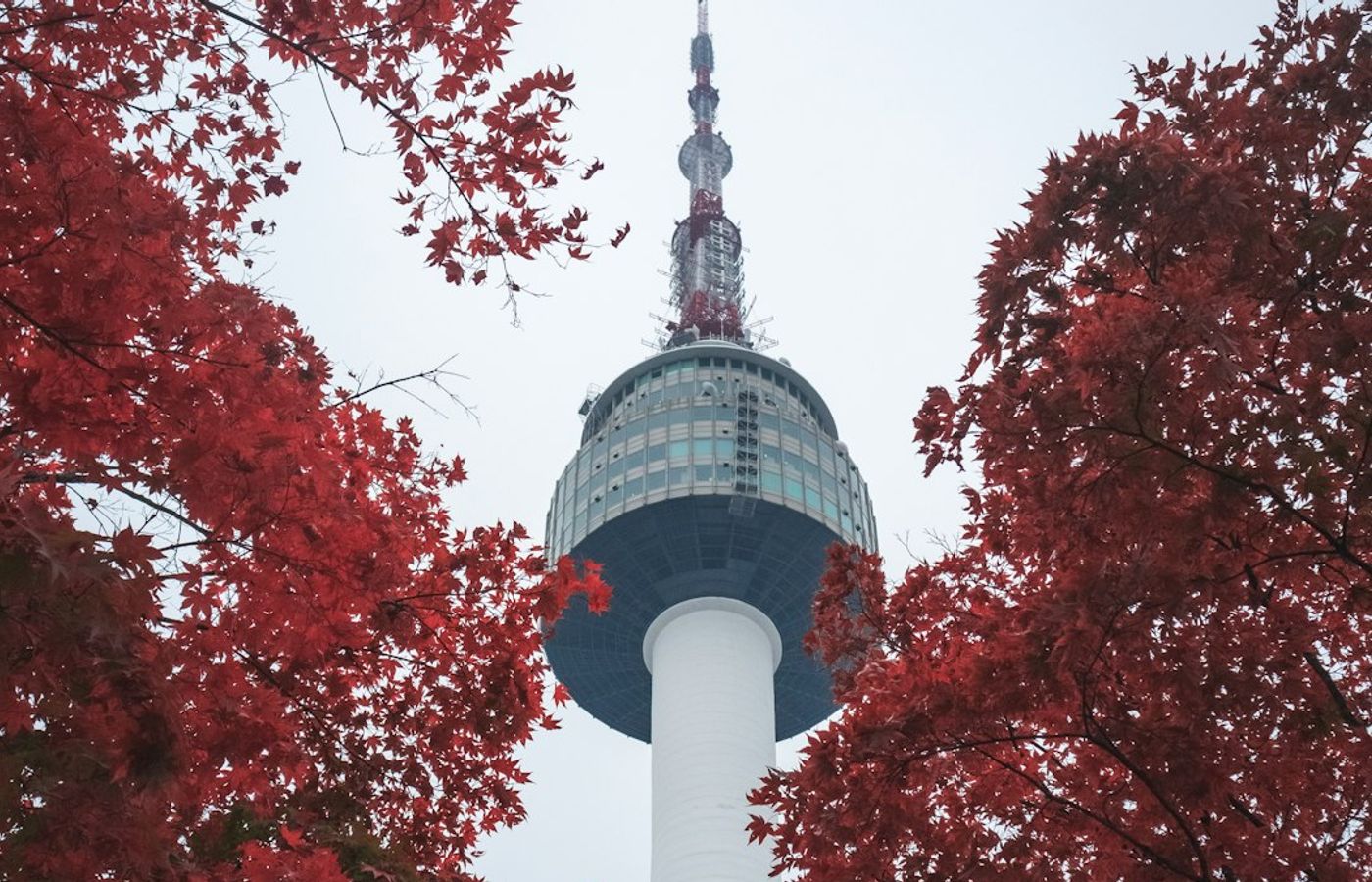Namsan Park - Autumn Trails Beneath N Seoul Tower