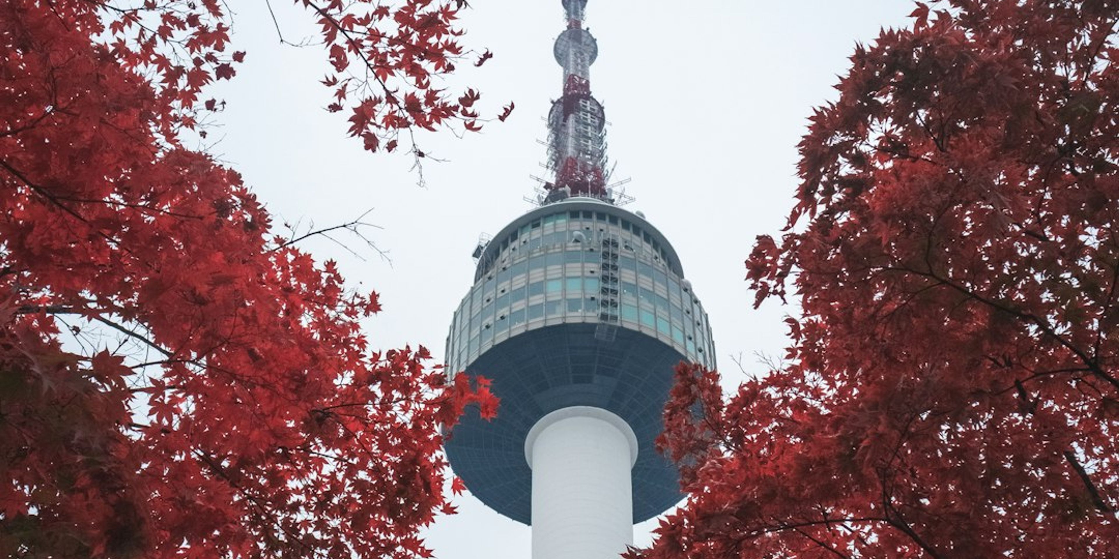Hotels near Namsan Park