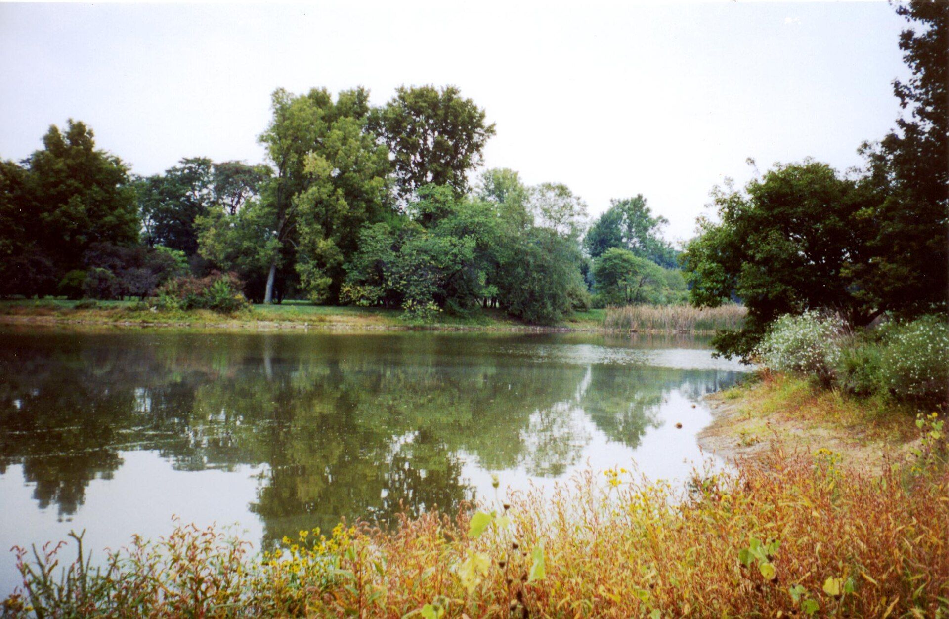 The Morton Arboretum - 1,700 Acres of Peak Colour
