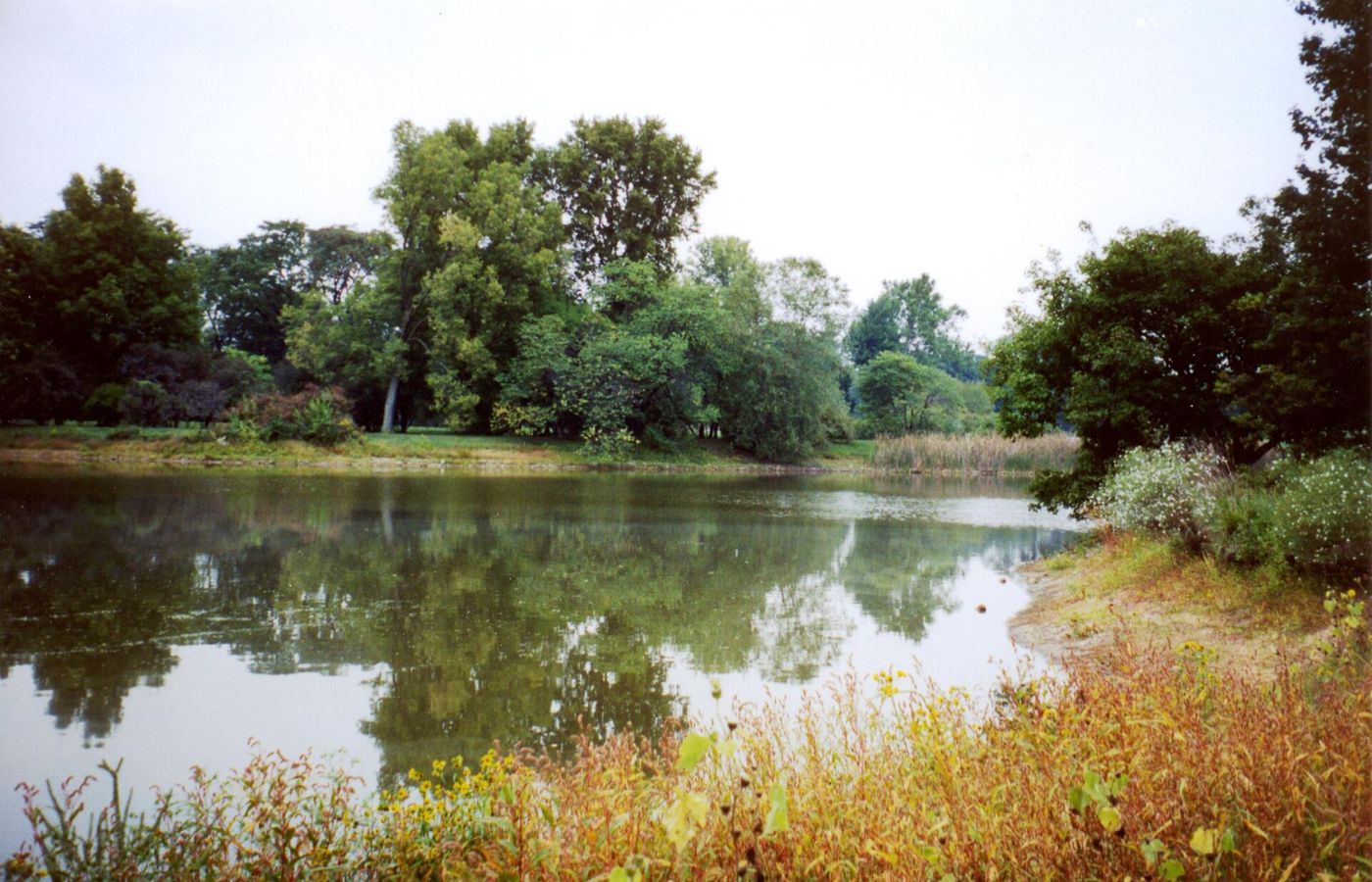 The Morton Arboretum - 1,700 Acres of Peak Colour