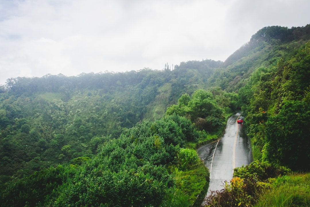 Road to Hana (Hana Highway, Route 360) - The Rainforest Coast Drive