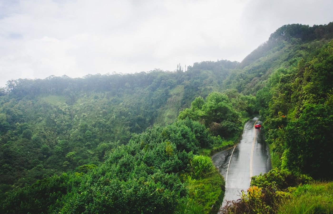 Road to Hana (Hana Highway, Route 360) - The Rainforest Coast Drive