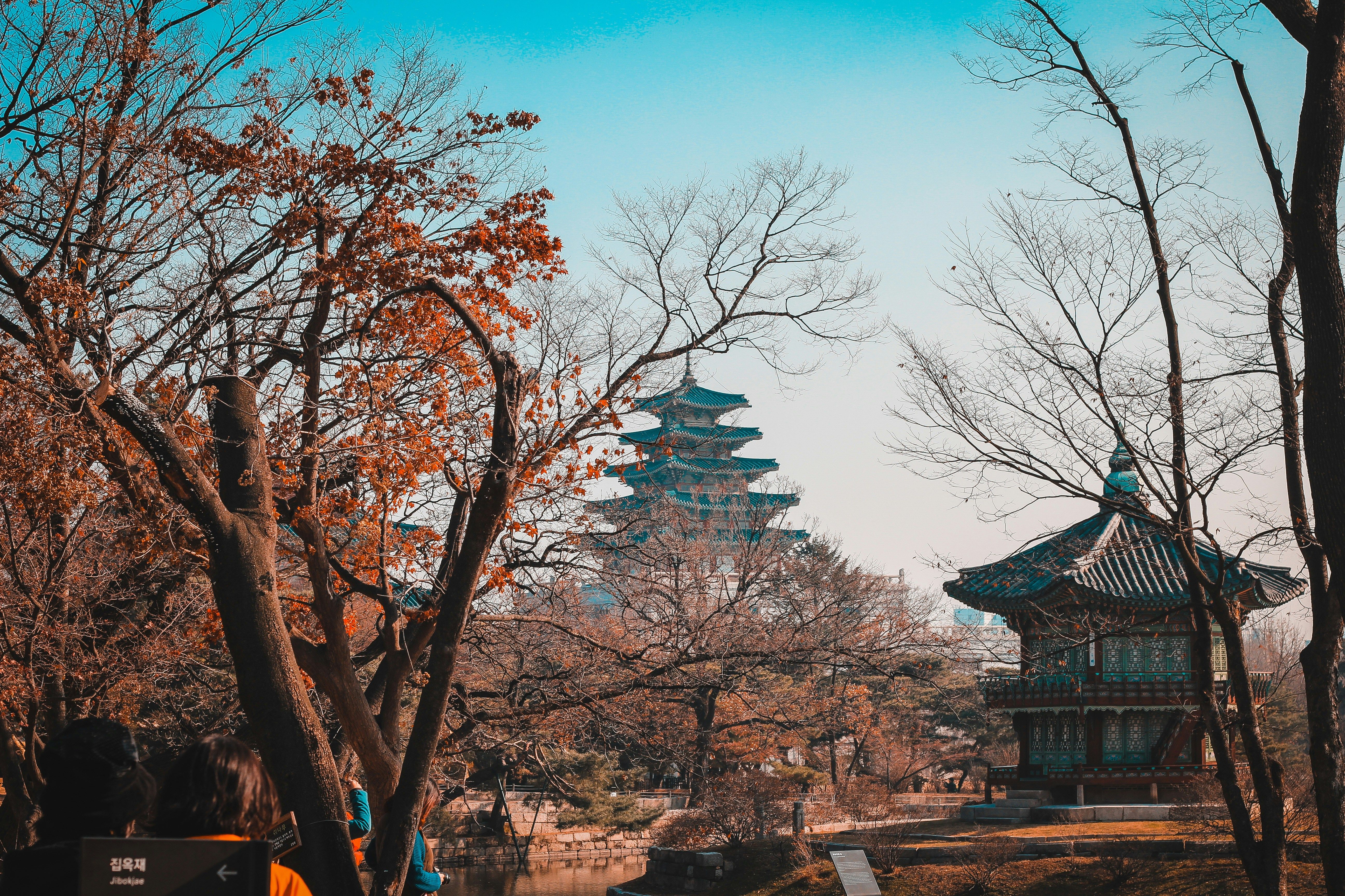 Seoul Travel Guides