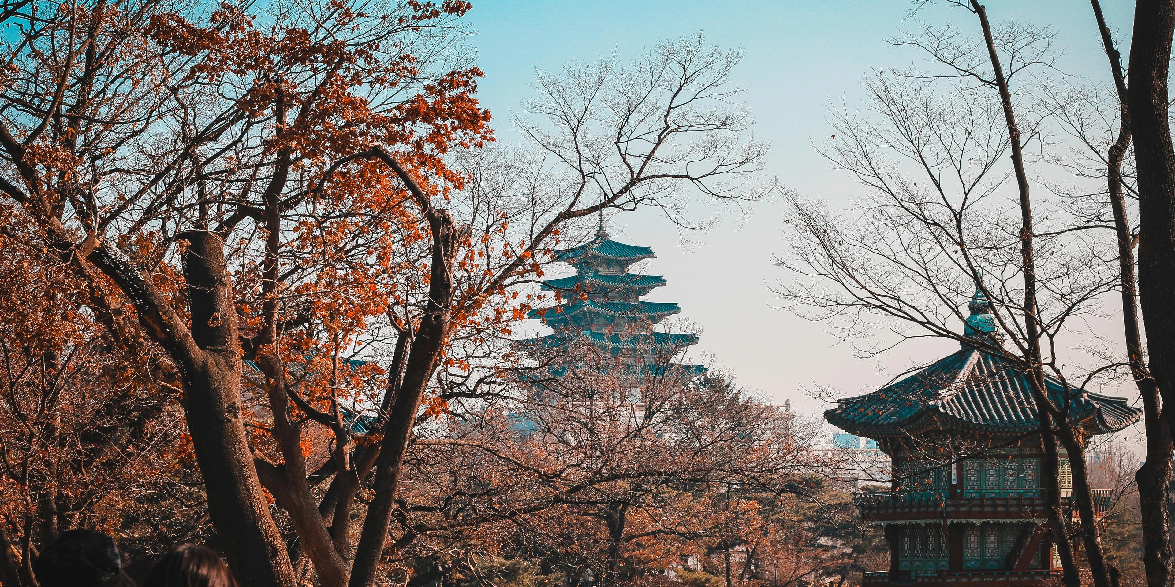 Seoul Travel Guides