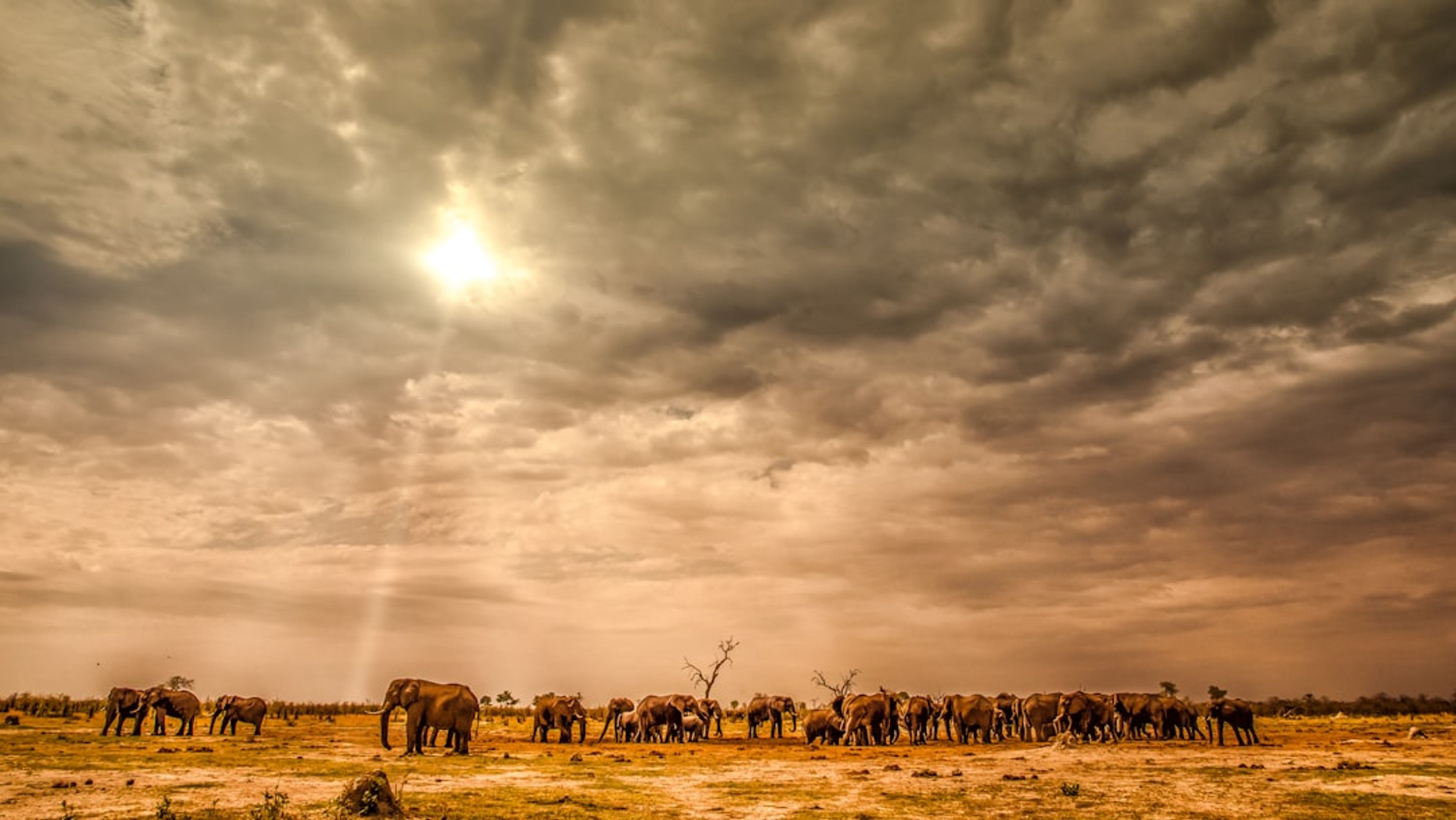 Botswana