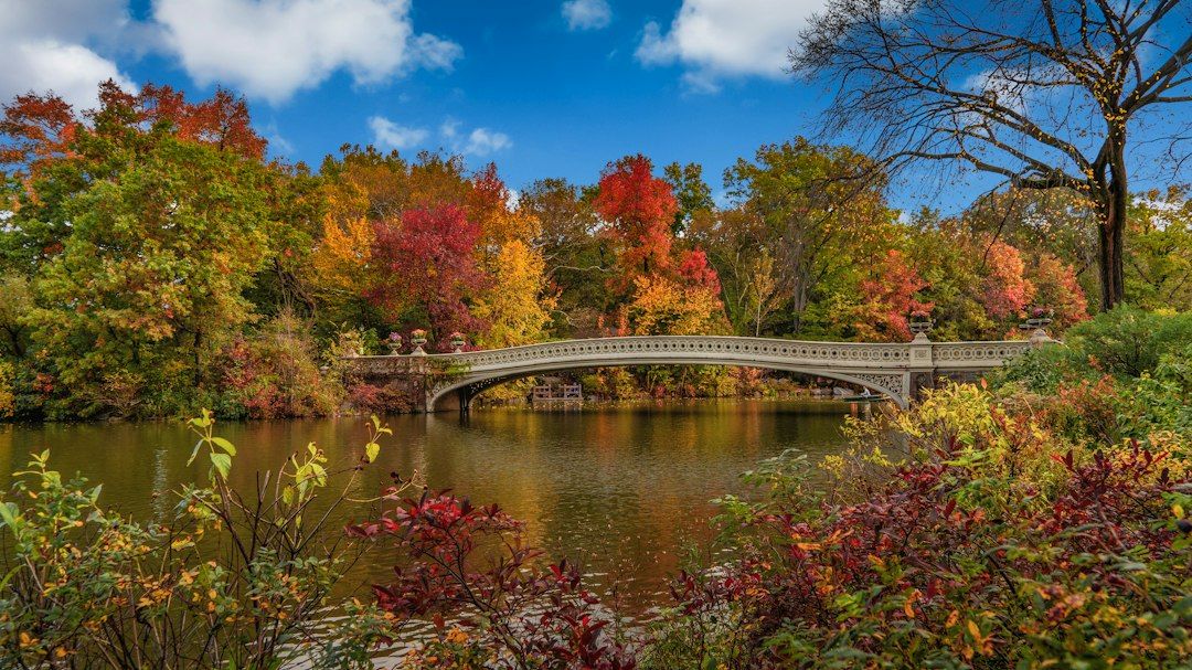 Central Park - Where New York Fall Foliage Actually Happens