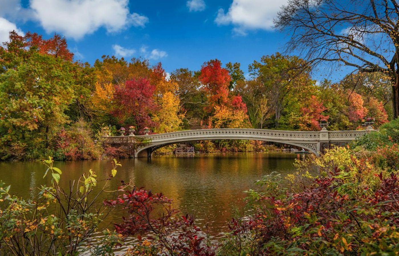 Central Park - Where New York Fall Foliage Actually Happens