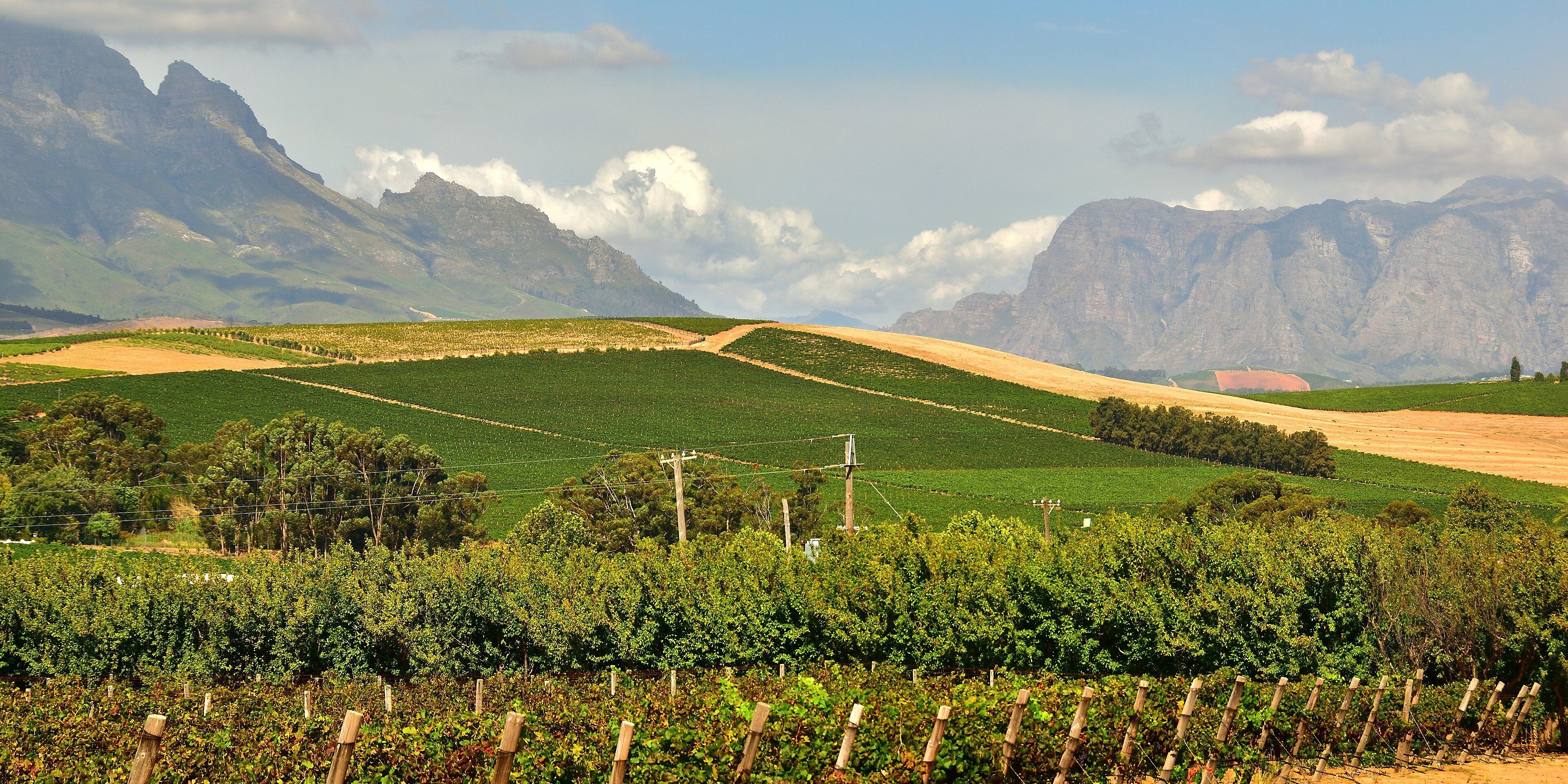 Hotels near Stellenbosch Wine Country