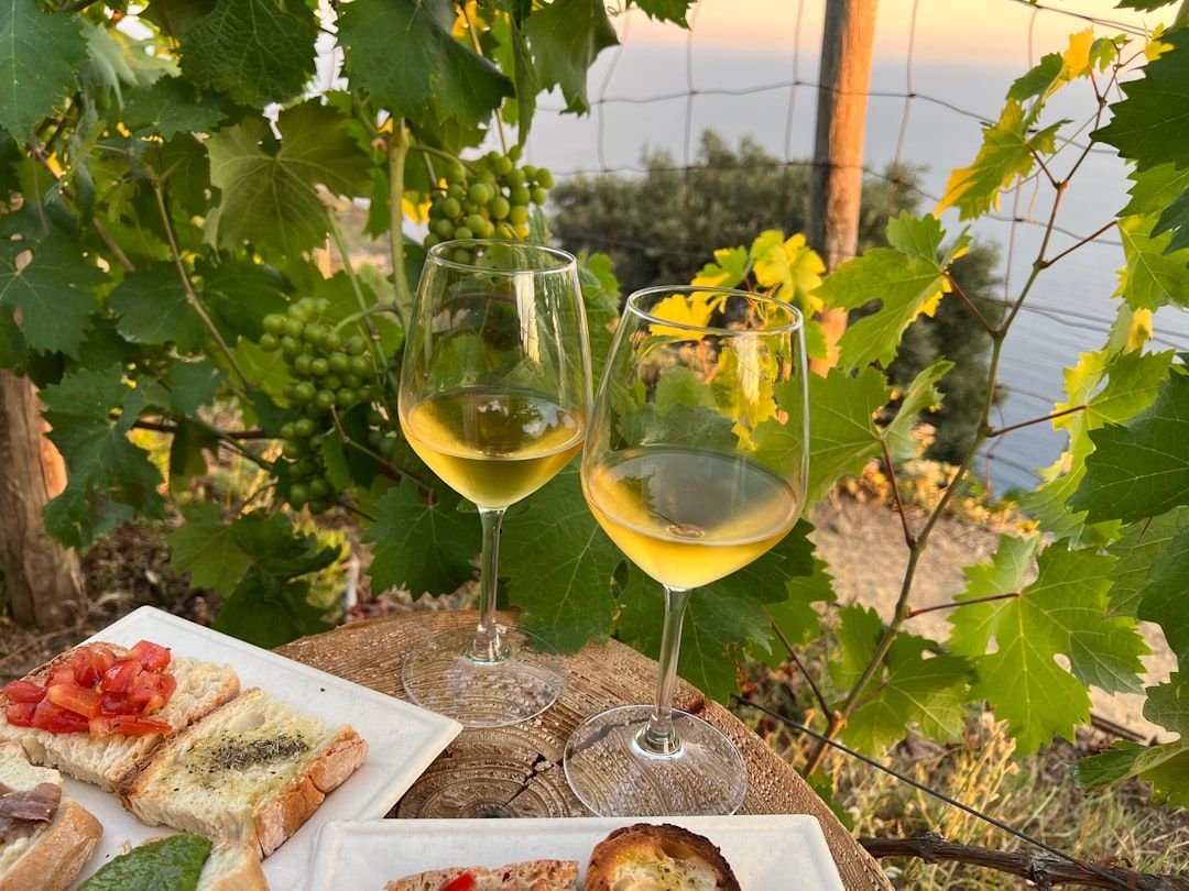 Cinque Terre Wine and Pesto Tasting (Sciacchetrà)