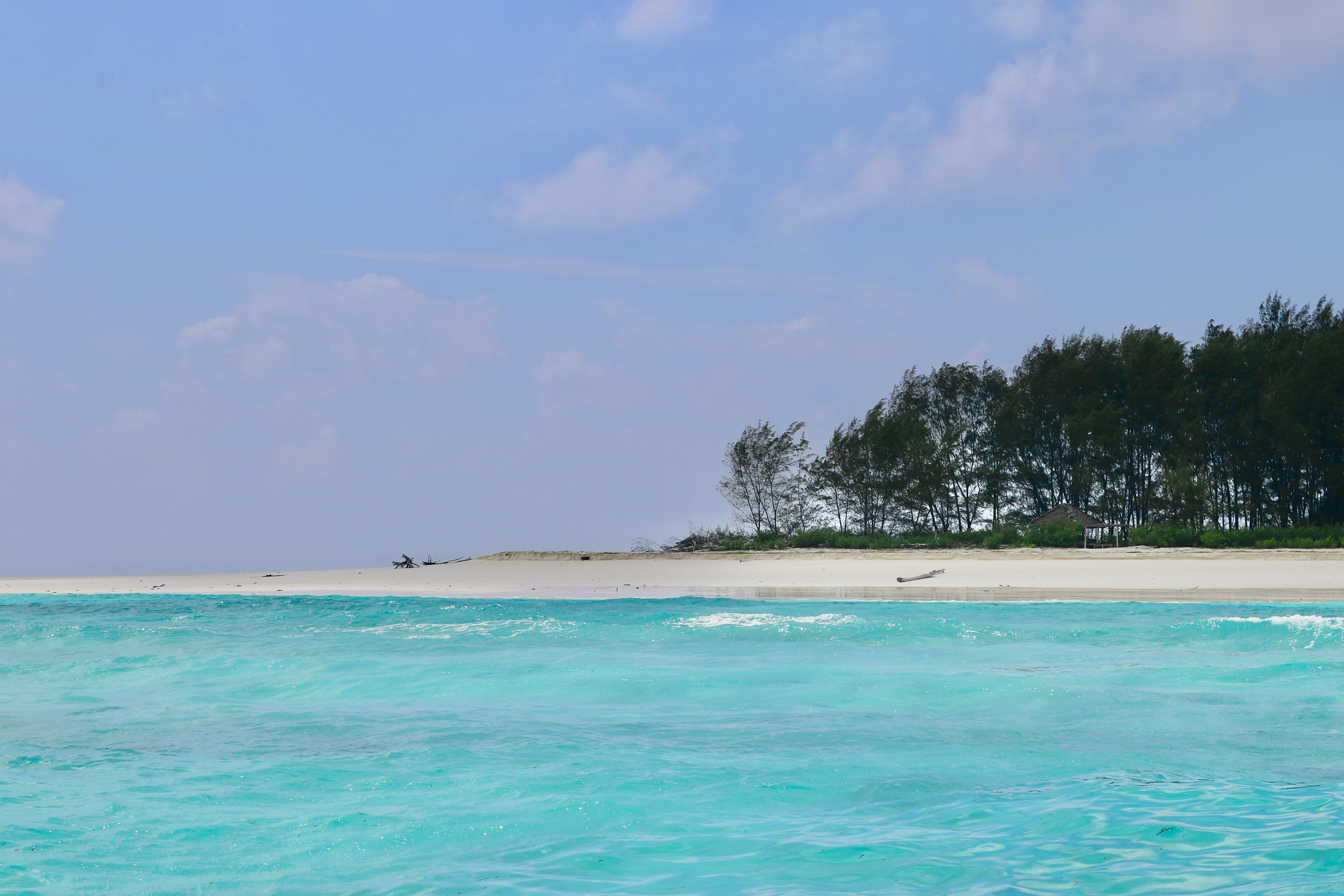 Mnemba Atoll - The Premier Snorkelling Reef